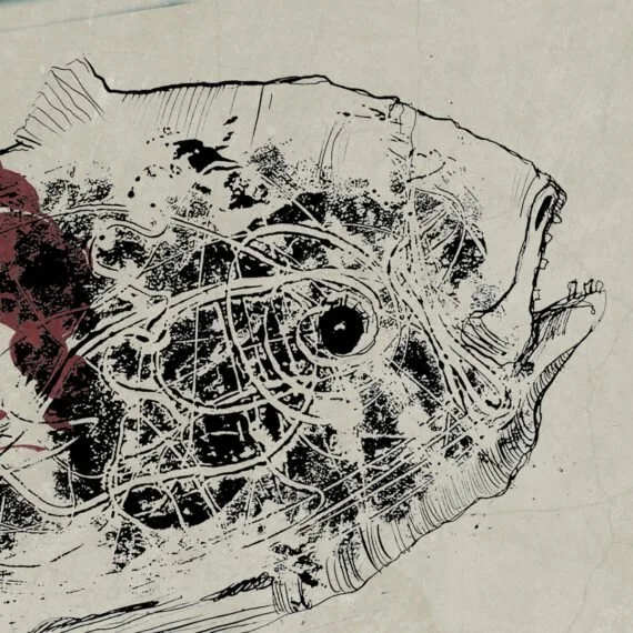 An ink-drawn fish with a dark, textured body